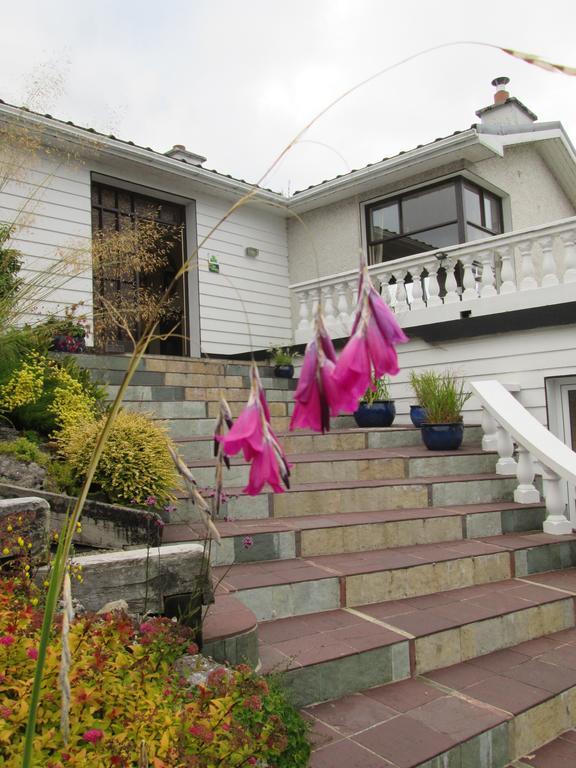 Bed and breakfast Kilbree House 4*